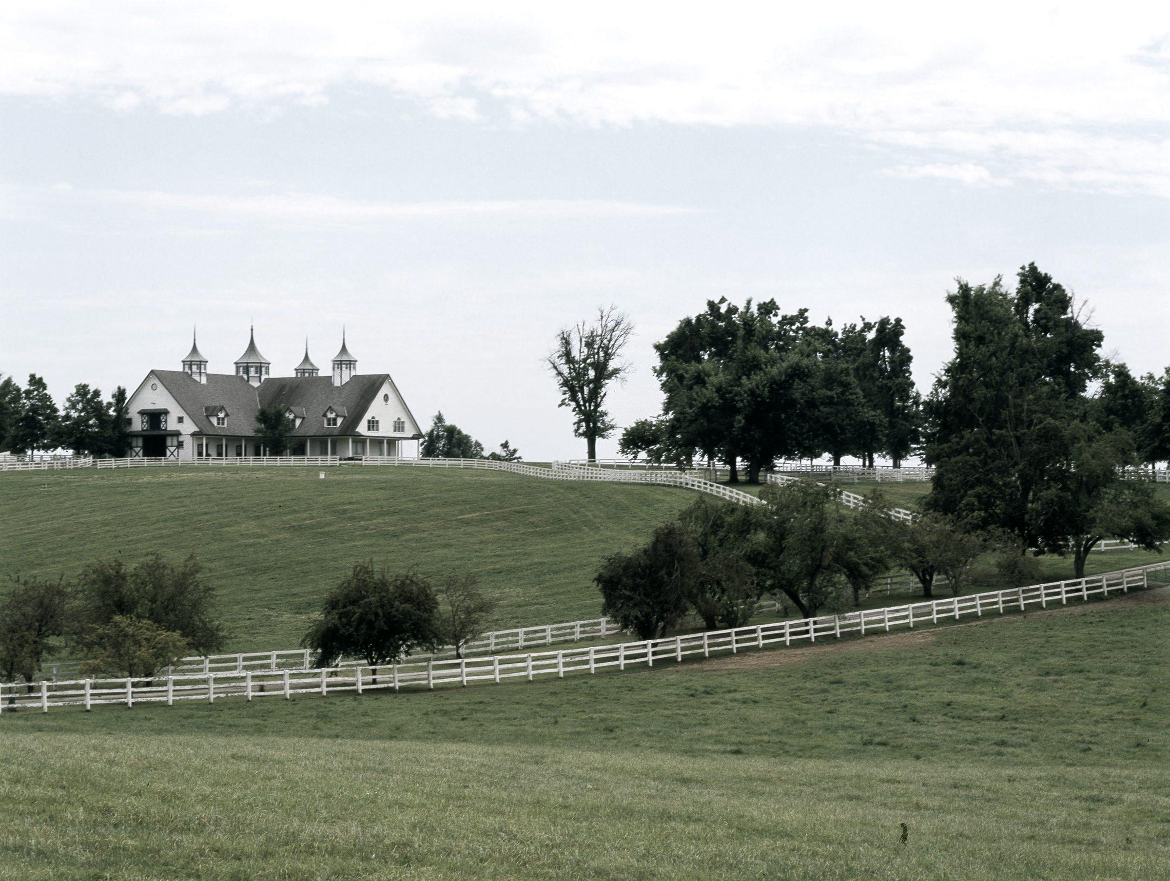 Open pasture rising to a fence line, with standing timber along the ridge.